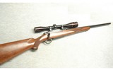 Ruger ~ M77 ~ .25-06 Remington - 1 of 10