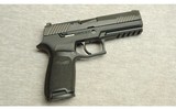 Sig Sauer ~ P320 ~ 9mm - 1 of 2