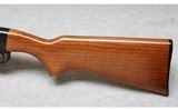 Remington ~ 572 ~ .22 LR - 9 of 10