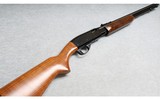 Remington ~ 572 ~ .22 LR - 1 of 10