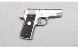 Colt ~ Government Model ~ .380 ACP - 1 of 2