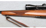Ruger ~ M77 Varmint ~ .243 Winchester - 6 of 10