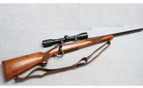 Ruger ~ M77 Varmint ~ .243 Winchester - 1 of 10