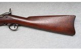 Springfield ~ Model 1888 Trapdoor ~ .45-70 Government - 9 of 10