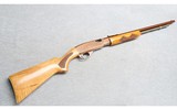 Remington ~ 572 Fieldmaster ~ .22 Long Rifle - 1 of 10