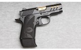 Kimber ~ Micro 9 ESV ~ 9mm - 1 of 2