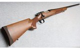 Remington
Model 700
.300 Weatherby Mag