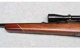 Winchester ~ Model 70 ~ .270 Winchester - 6 of 10