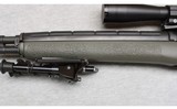 Springfield ~ M1A ~.308 Winchester - 6 of 10