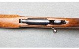 Ruger ~ M77 Mark II Varmint ~ .223 Remington - 7 of 10