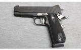 Sig Sauer ~ 1911 Nightmare ~ .45 ACP - 2 of 2