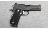 Sig Sauer ~ 1911 Nightmare ~ .45 ACP - 1 of 2