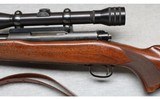 Winchester ~ Model 70 ~ .22 Hornet - 7 of 9