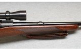 Winchester ~ Model 70 ~ .22 Hornet - 4 of 9