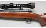 Winchester ~ Model 70 ~ .375 H&H Magnum - 7 of 9