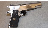 Colt ~ Gold Cup Ten ~ 10mm Auto - 1 of 2