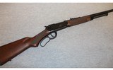 Winchester ~ Model 9410 ~ .410 Bore - 1 of 9
