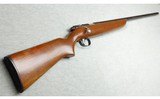 Remington ~ Model 510 Smoothbore ~ .22 LR - 1 of 9