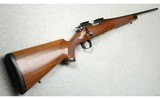 Remington ~ Model 700 Mountain Rifle ~ .243 Win.
