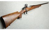 Remington ~ Model 1917 Sporter ~ .375 H&H
