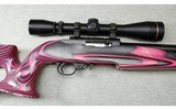 Ruger ~ Custom 10/22 ~ .22 Long Rifle - 3 of 10