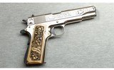 Auto Ordnance ~ NRA 100 Yrs of 1911s ~ .45 Auto