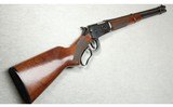 Winchester ~ Model 94AE ~ .45 Colt