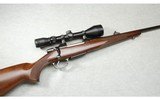 CZ ~ 550 ~ .243 Winchester