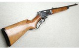 Marlin ~ Glenfield Model 30 ~ .30-30 - 1 of 9