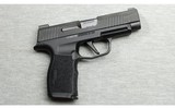 Sig Sauer ~ Model P365 XL ~ 9mm - 1 of 2