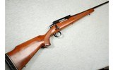 Remington ~ Model 700 ~ .30-06 Springfield