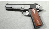 Dan Wesson ~ Pointman ~ .45 Auto - 2 of 2