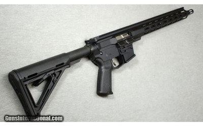 WMD Guns ~ PCC Carbine ~ 9mm