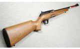 Winchester ~ Wildcat ~ .22 LR - 1 of 9