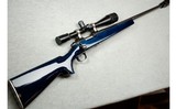 Remington ~ Model ~ 40-X .22 LR