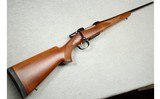CZ ~ 550 American ~ .243 WIN - 1 of 12