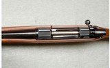 CZ ~ 550 American ~ .243 WIN - 10 of 12