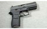 Sig Sauer ~ P320 Compact ~ 9mm - 1 of 2