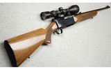 Browning ~ BAR ~ .30-06 Springfield