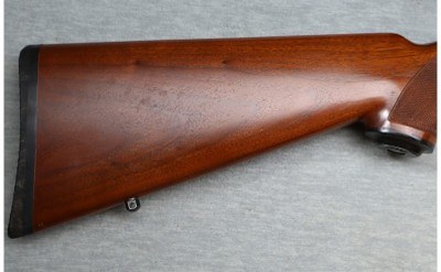 Ruger ~ 77/22 ~ .22 LR