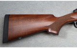 Winchester ~ Model 70 ~ .416 Rem. Mag