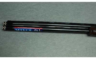 Fair ~ Carrera Giovane ~ 12 Gauge - Image 5 of 10