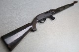 Remington ~ Apache 77 ~ .22 LR
