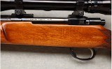 Sako ~ L579 Forester ~ .243 WIN - 9 of 12