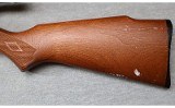Marlin ~ Model 60 ~ .22 LR - 11 of 12