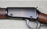 Henry ~ Model H001 ~ .22 S,L,LR - 9 of 12