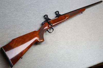 Sako ~ A II ~ .243 WIN