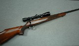 Sako ~ AIII FInnbear ~ .30-06 Springfield