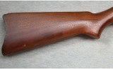 Ruger ~ 10/22 Carbine ~ .22 LR - 2 of 12