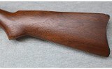 Ruger ~ 10/22 Carbine ~ .22 LR - 11 of 12